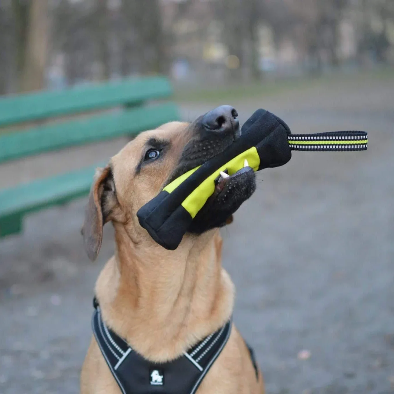 Truelove Dog Training Retrieve – обзор и цена Food Storage Zipper