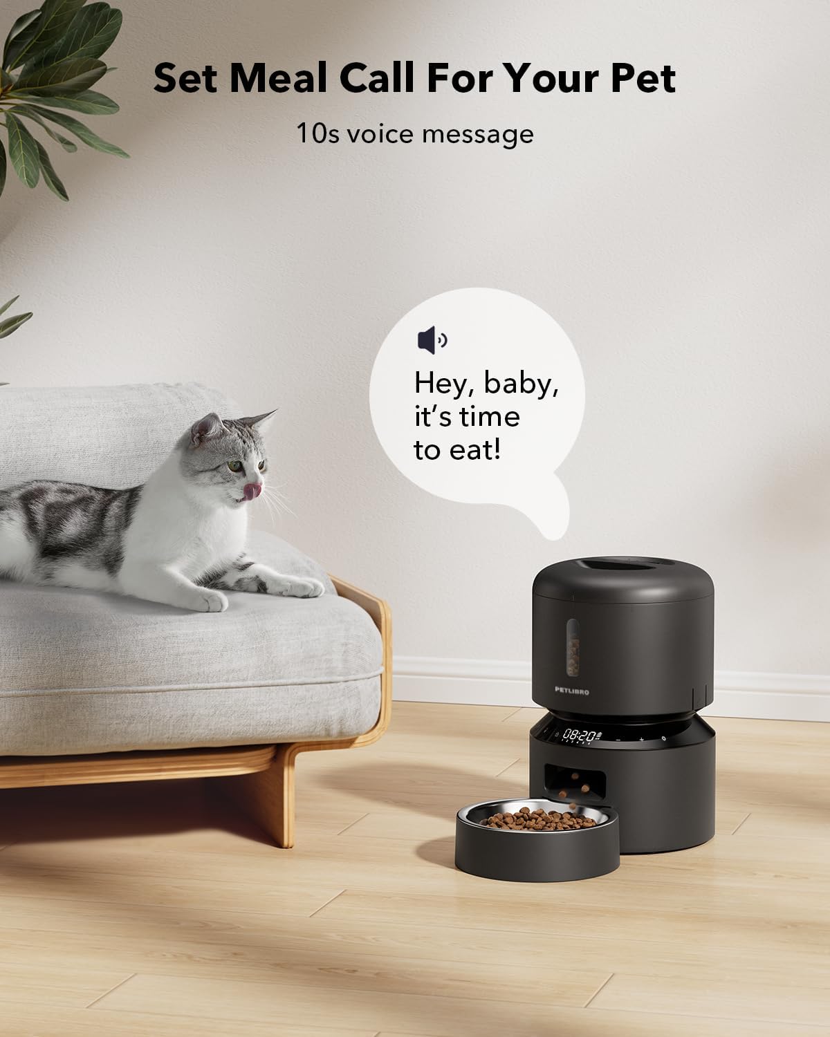 Automatic Cat Feeder – 3L Prog – обзор и цена Food Storage Dispenser