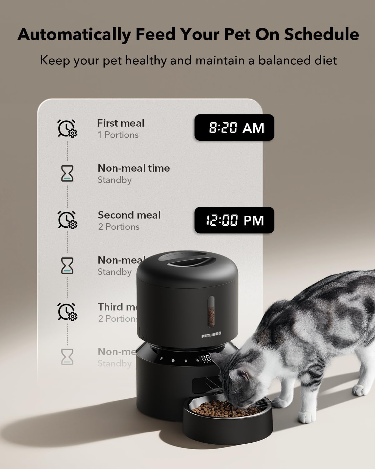 Automatic Cat Feeder – 3L Prog – обзор и цена Food Storage Dispenser