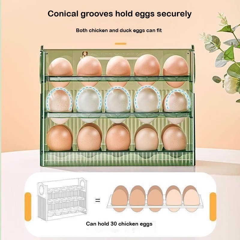Automatic Rebound Egg Storage  – обзор и цена Food Storage With Dividers