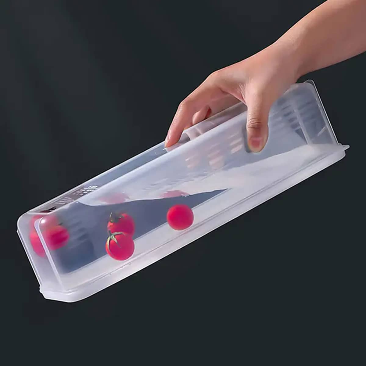 1 Plastic Transparent Storage  – обзор и цена Food Storage Order